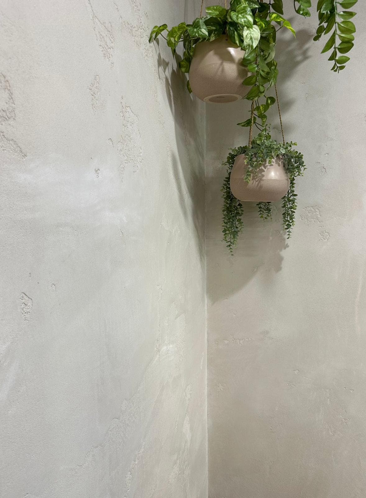 Marmorino finish detail 13 — Crafted Finishes, Sunshine Coast